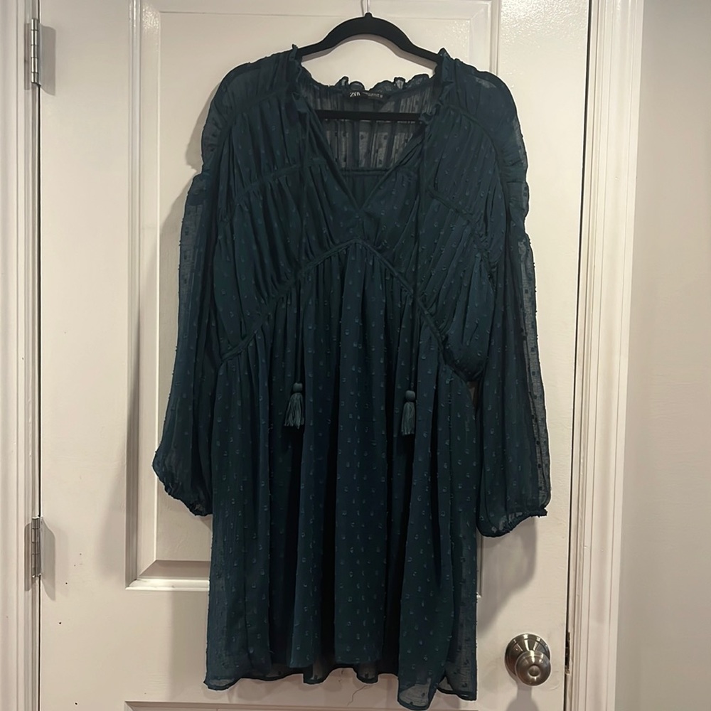 Zara Swiss dot long sleeve dress